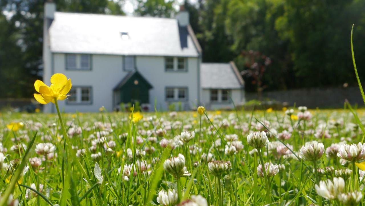 Braemore Walled Garden B&B Экстерьер фото