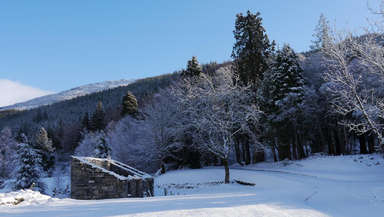 Braemore Walled Garden B&B Экстерьер фото